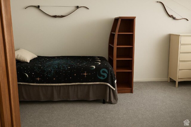 3480 S 4000th Rd W, Delta, UT 84624 - view of carpeted bedroom