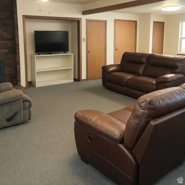 3480 S 4000th Rd W, Delta, UT 84624 - living area featuring carpet, a wood stove, baseboards, and built in features