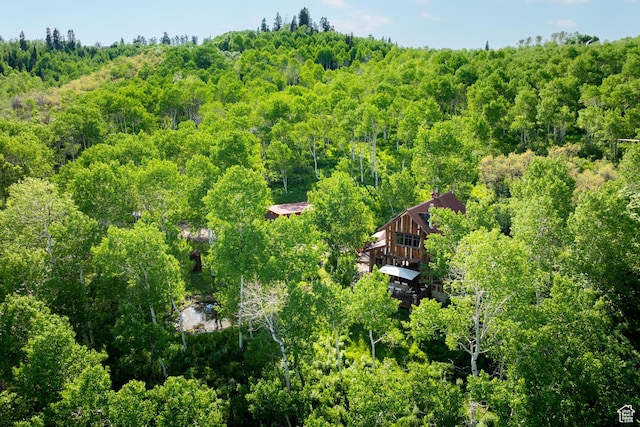 10754 Basin Canyon Rd, Park City, UT 84098 - view from above of property with a heavily wooded area