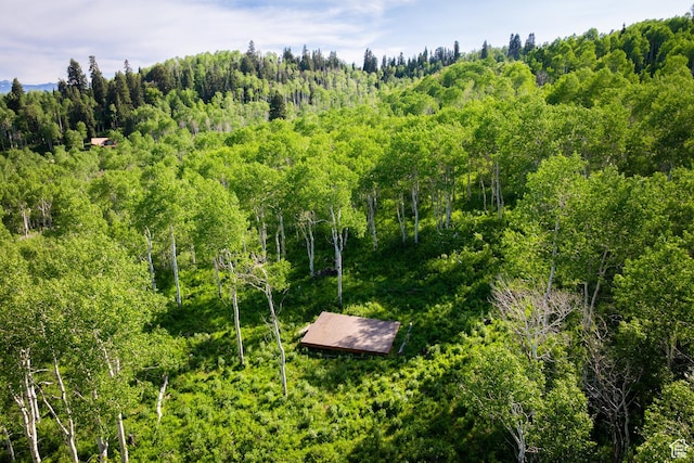 10754 Basin Canyon Rd, Park City, UT 84098 - aerial view of a forest