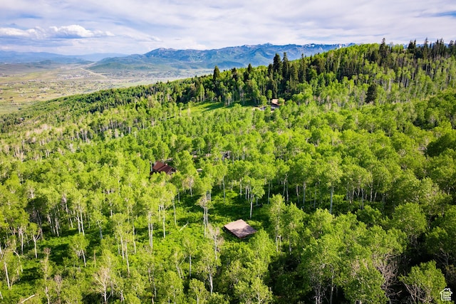 10754 Basin Canyon Rd, Park City, UT 84098 - view of mountain background featuring a heavily wooded area