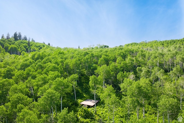 10754 Basin Canyon Rd, Park City, UT 84098 - aerial view of a heavily wooded area
