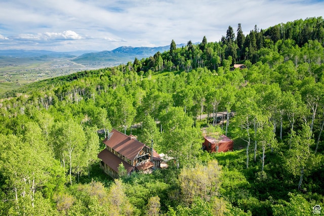 10754 Basin Canyon Rd, Park City, UT 84098 - aerial view of property and surrounding area featuring a forest and mountains