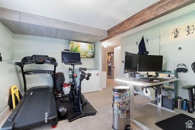 3186 W 5925 S, Roy, UT 84067 - exercise room with carpet flooring