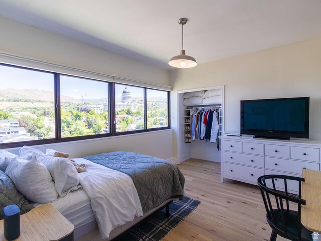 241 N Vine St Unit 1E, Salt Lake City, UT 84103 - bedroom featuring light wood-style flooring, multiple windows, a closet, and baseboards