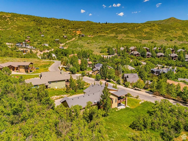 1273 W Lime Canyon Way, Midway, UT 84049 - aerial perspective of suburban area