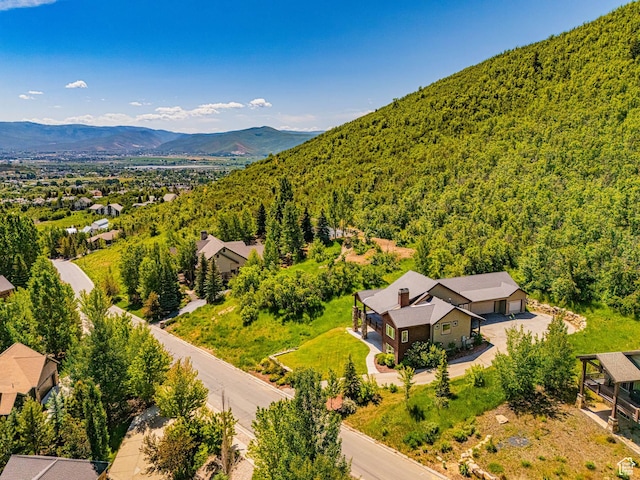 1273 W Lime Canyon Way, Midway, UT 84049 - bird's eye view of a heavily wooded area and a mountainous background