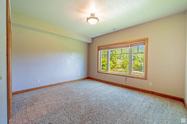 1273 W Lime Canyon Way, Midway, UT 84049 - unfurnished room with carpet flooring, baseboards, and a textured ceiling