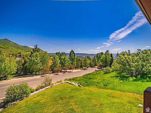 1273 W Lime Canyon Way, Midway, UT 84049 - view of yard featuring a mountain view