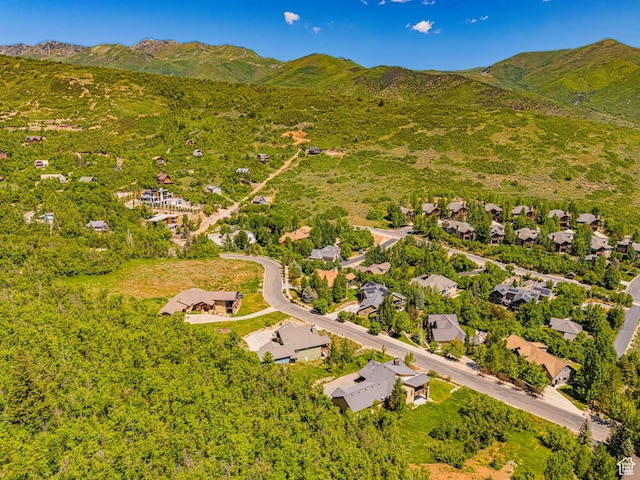 1273 W Lime Canyon Way, Midway, UT 84049 - bird's eye view of a mountainous background