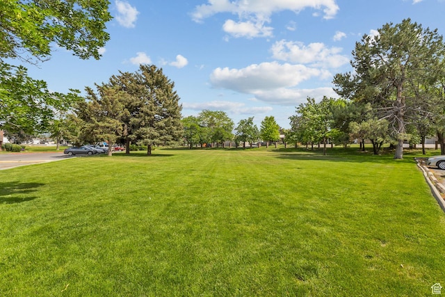 66 W Lester Ave Unit K27, Murray, UT 84107 - view of green lawn