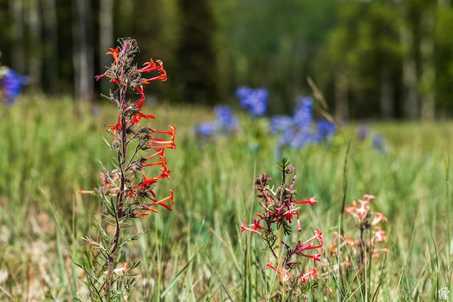 325 White Pine Canyon Rd Unit 325, Park City, UT 84060