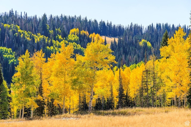 325 White Pine Canyon Rd Unit 325, Park City, UT 84060