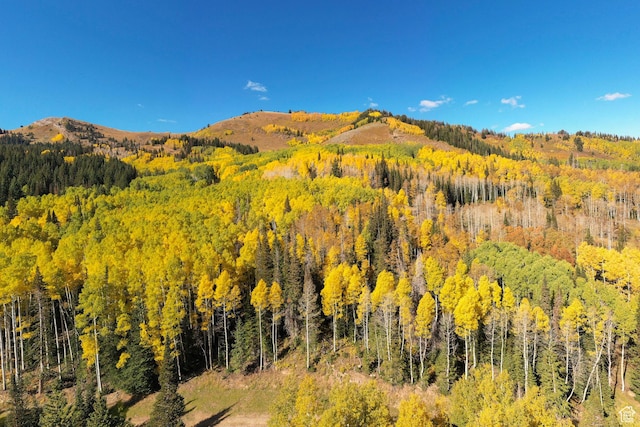 325 White Pine Canyon Rd Unit 325, Park City, UT 84060