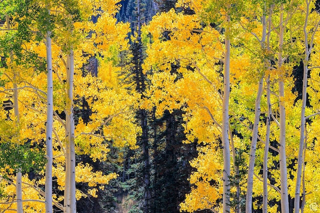 325 White Pine Canyon Rd Unit 325, Park City, UT 84060