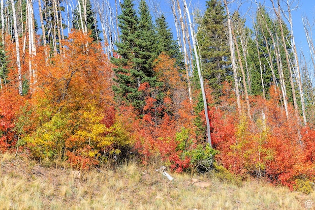 325 White Pine Canyon Rd Unit 325, Park City, UT 84060