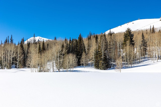 325 White Pine Canyon Rd Unit 325, Park City, UT 84060