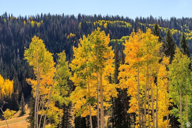325 White Pine Canyon Rd Unit 325, Park City, UT 84060