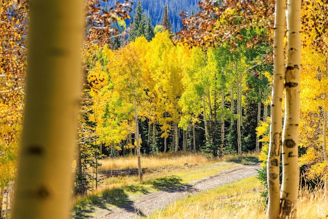 325 White Pine Canyon Rd Unit 325, Park City, UT 84060