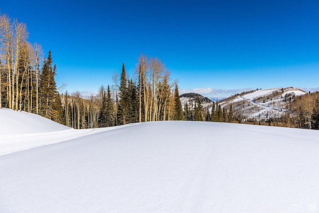 325 White Pine Canyon Rd Unit 325, Park City, UT 84060