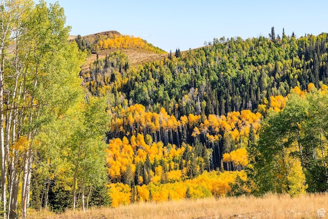 325 White Pine Canyon Rd Unit 325, Park City, UT 84060