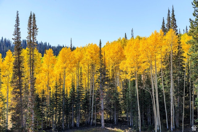 325 White Pine Canyon Rd Unit 325, Park City, UT 84060