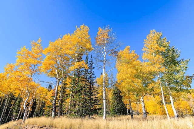325 White Pine Canyon Rd Unit 325, Park City, UT 84060