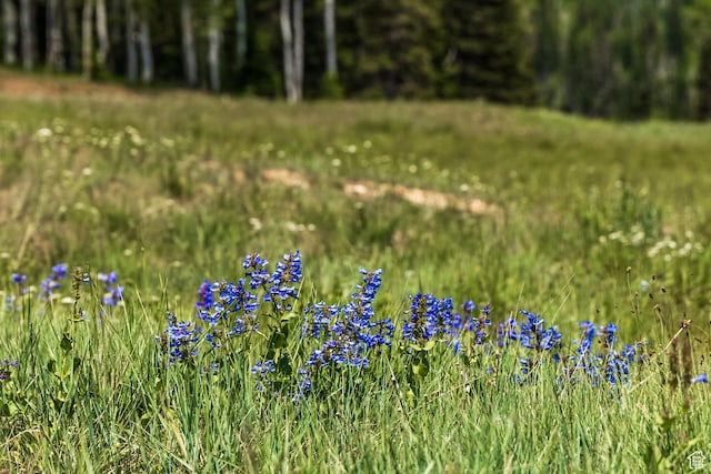 325 White Pine Canyon Rd Unit 325, Park City, UT 84060