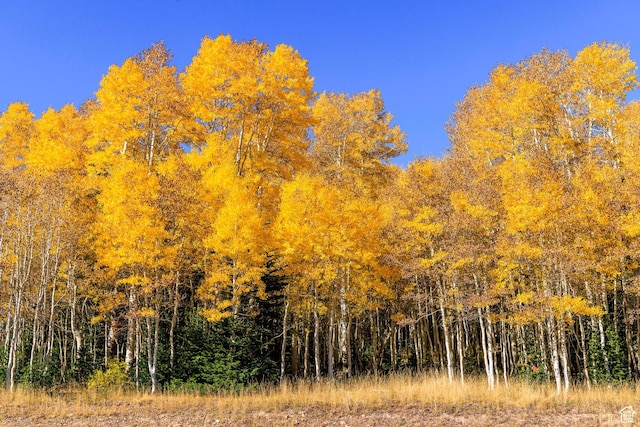 325 White Pine Canyon Rd Unit 325, Park City, UT 84060