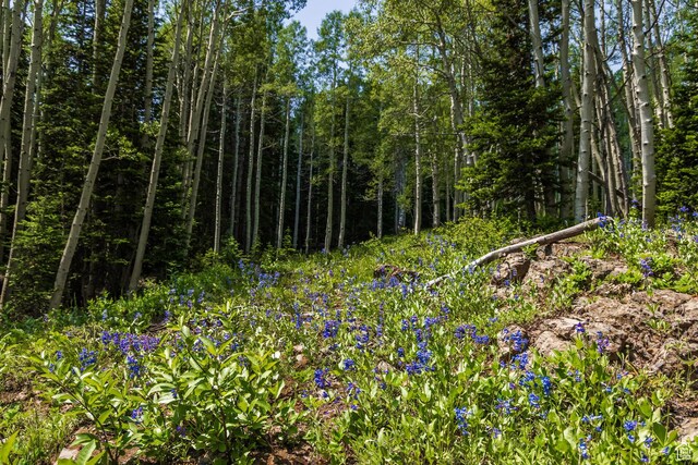 325 White Pine Canyon Rd Unit 325, Park City, UT 84060