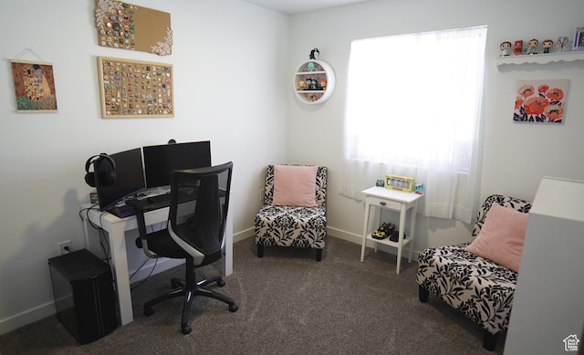 1291 S Harvest View Dr, Santaquin, UT 84655 - carpeted office featuring baseboards