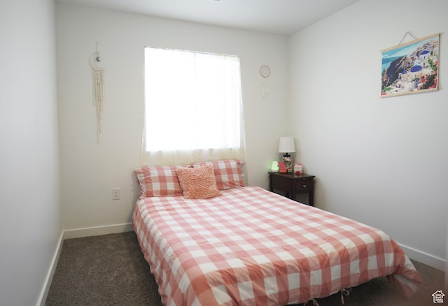 1291 S Harvest View Dr, Santaquin, UT 84655 - bedroom with baseboards and carpet