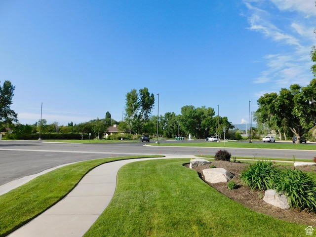 6658 S Murray Bluffs Dr W, Murray, UT 84123 - photo 8