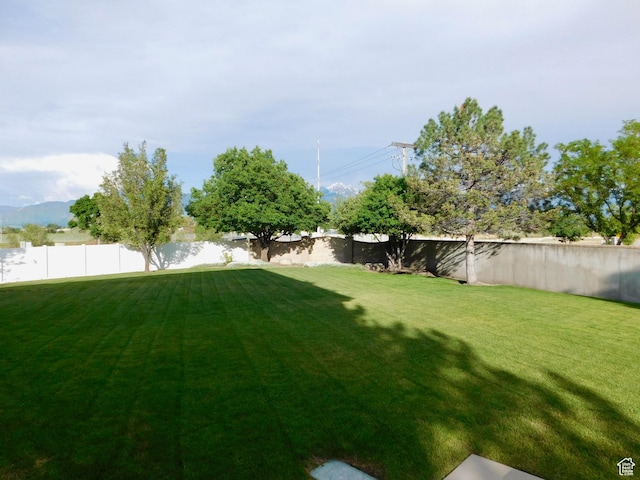 6658 S Murray Bluffs Dr W, Murray, UT 84123 - photo 28