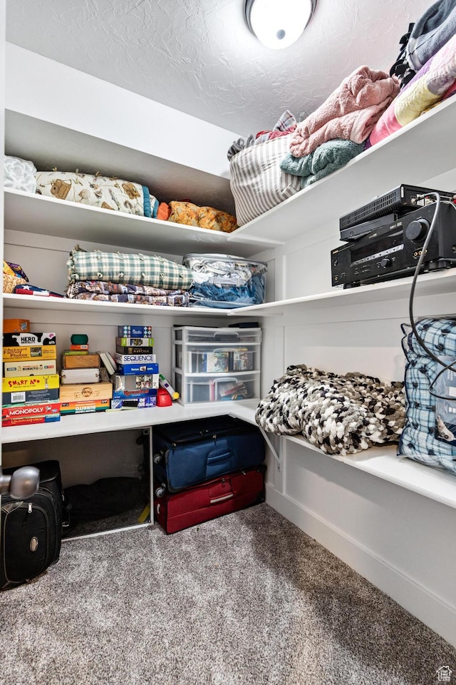 580 N Cherry Ridge Ln, Richmond, UT 84333 - view of storage area