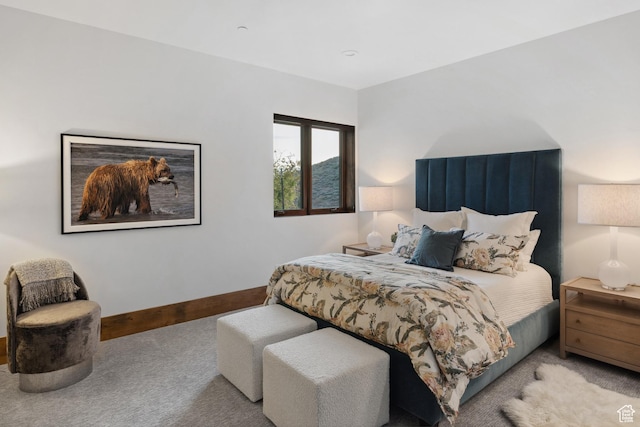1703 N Chimney Rock Rd Unit 532, Heber City, UT 84032 - carpeted bedroom featuring baseboards