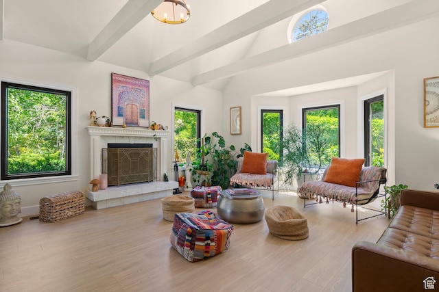 2692 S Grand Oak Cir E, Bountiful, UT 84010 - living area featuring plenty of natural light, a fireplace, wood finished floors, and high vaulted ceiling