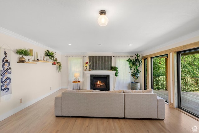 2692 S Grand Oak Cir E, Bountiful, UT 84010 - living area with crown molding, a glass covered fireplace, light wood finished floors, baseboards, and recessed lighting