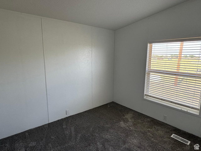 6153 E 2000 N, Roosevelt, UT 84066 - spare room with dark colored carpet and plenty of natural light