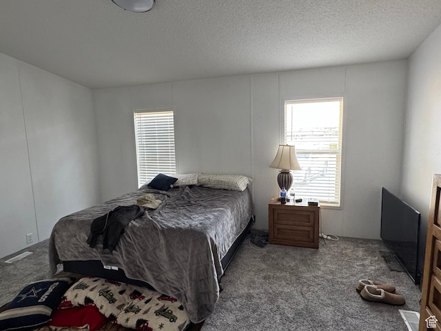 6153 E 2000 N, Roosevelt, UT 84066 - bedroom featuring carpet floors, multiple windows, and a textured ceiling
