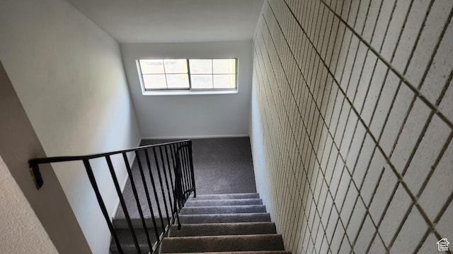 1896 W Homestead Farms Ln Unit 3, Salt Lake City, UT 84119 - staircase with carpet