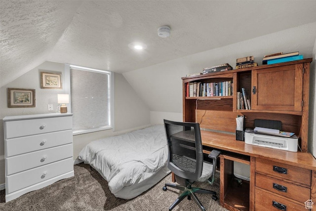 183 W 200 N, Hurricane, UT 84737 - bedroom featuring lofted ceiling, a textured ceiling, and carpet floors