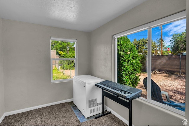 183 W 200 N, Hurricane, UT 84737 - interior space with dark carpet and baseboards