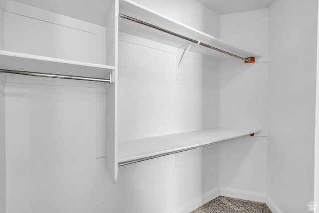 40 W Pecan Ln, Leeds, UT 84746 - view of spacious closet