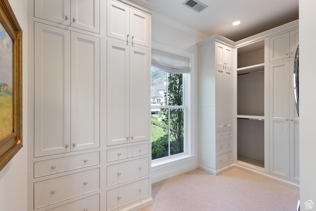 1449 Annie Cir N, Alpine, UT 84004 - spacious closet with light carpet