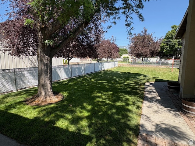 552 W 1200 N, Lehi, UT 84043 - view of yard