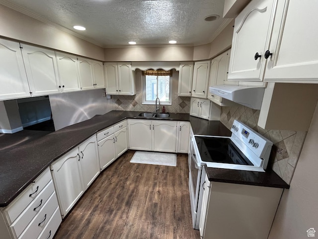 552 W 1200 N, Lehi, UT 84043 - kitchen with a sink, under cabinet range hood, white range with electric stovetop, a textured ceiling, and ornamental molding