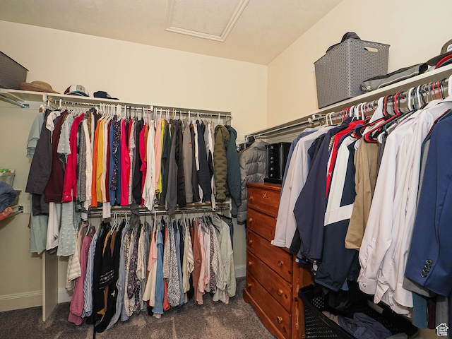 12687 S Verona Creek Way W, Riverton, UT 84065 - walk in closet with attic access and carpet