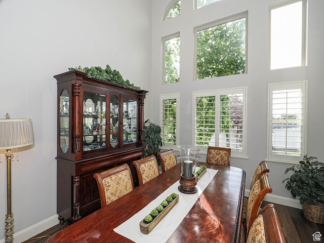 12687 S Verona Creek Way W, Riverton, UT 84065 - dining space featuring wood finished floors, baseboards, and a high ceiling