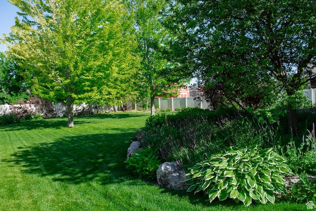 5264 S 6150 W, Hooper, UT 84315 - view of yard